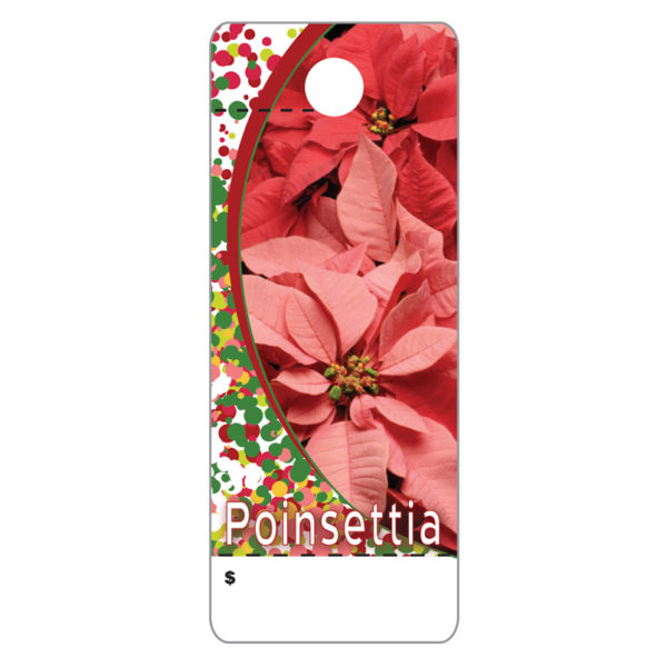 Poinsettia   CT0025