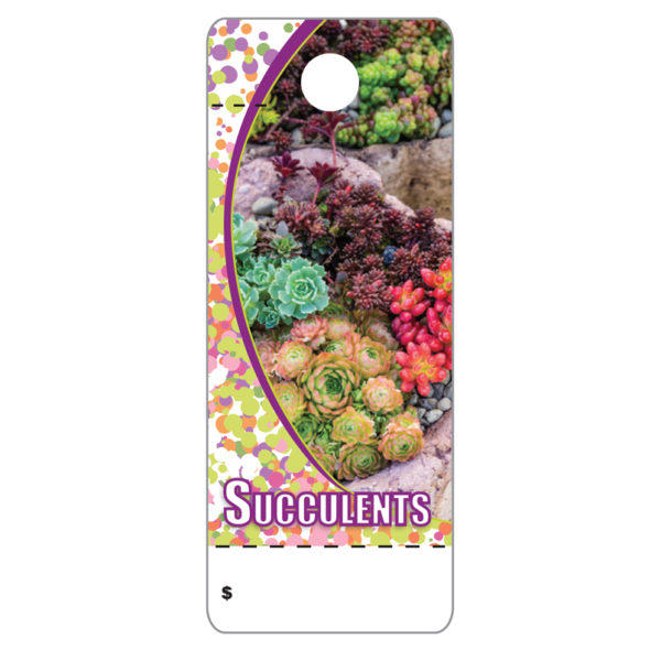 Succulents CT0032