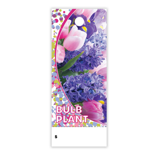 Bulb Plant  CT0005